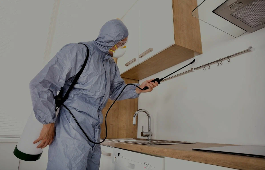 Chino Hills pest managment